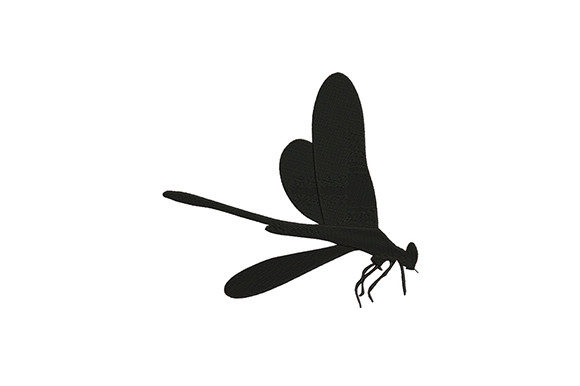 Black Bug Dragonfly: A Designer's Review for Gifts