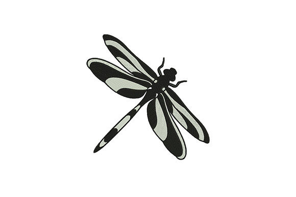Colore Black Dragonfly: A Pro Review for Branded Merch
